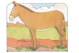 Primary Cutout Illustration Donkey
